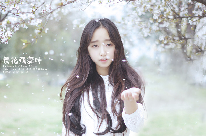 樱花飞舞下长发美女清纯图  第4张