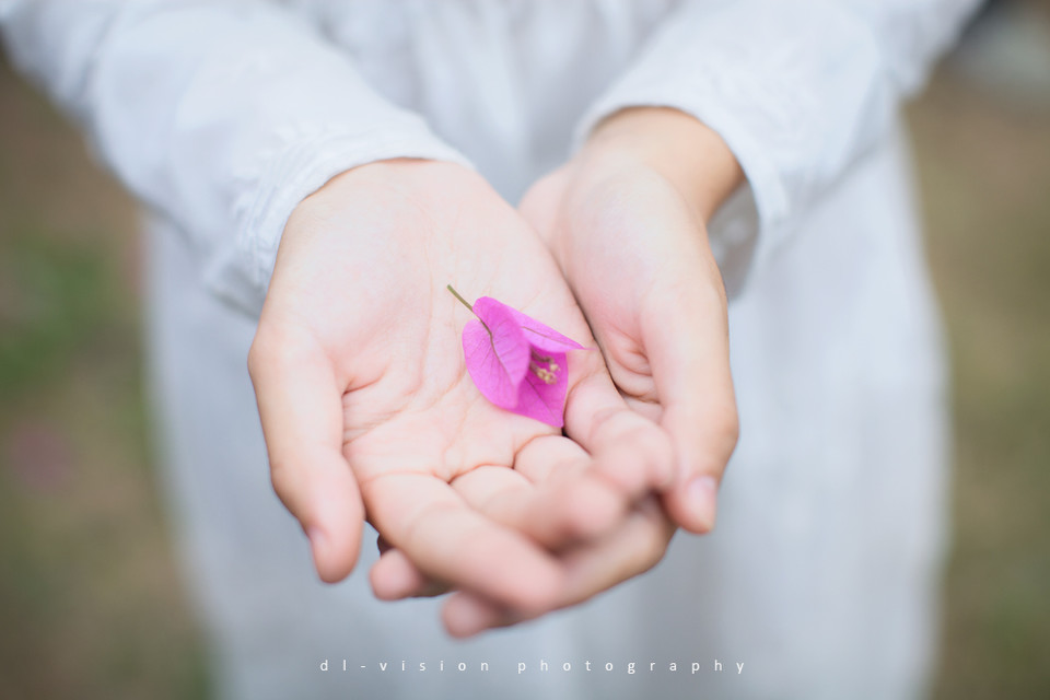 花丛中的白裙迷人少女  第3张