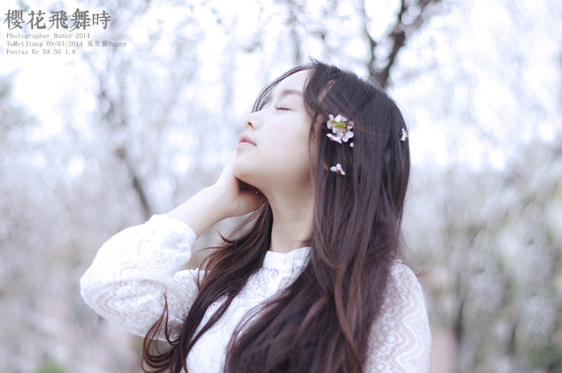 樱花飞舞下长发美女清纯图  第14张