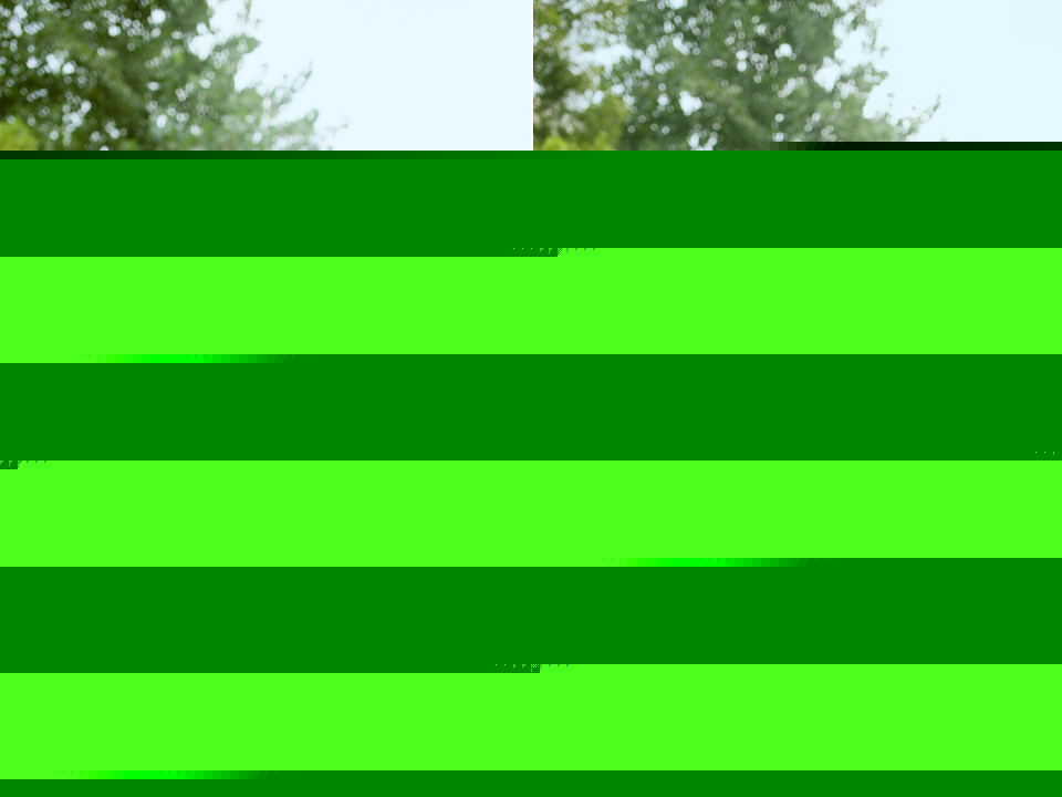 记忆中无法忘怀的深夏西瓜节  第6张