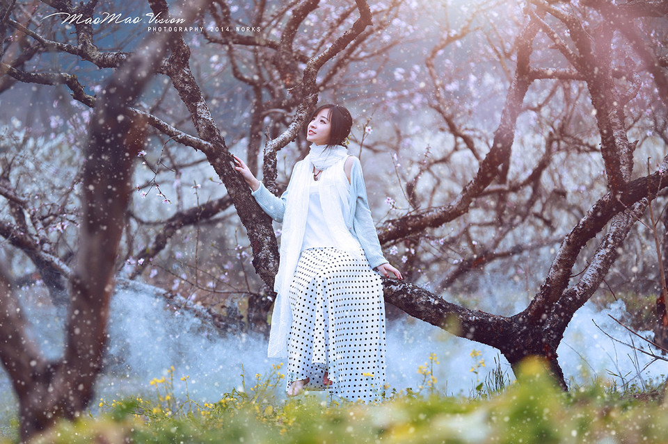 梨花下清新唯美图  第10张