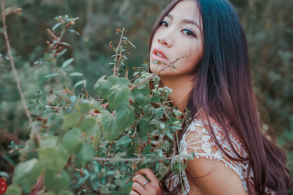 草地上白裙唯美少女图  第7张